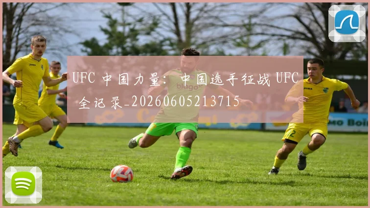 UFC 中国力量:中国选手征战 UFC 全记录_20260605213715