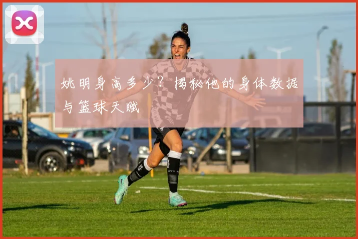 姚明身高多少?揭秘他的身体数据与篮球天赋