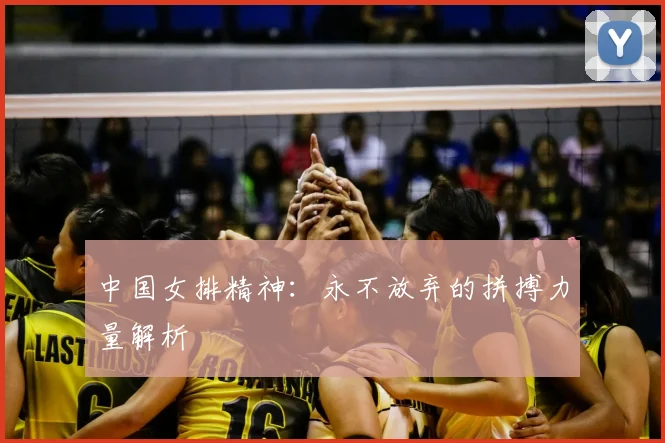 中国女排精神：永不放弃的拼搏力量解析