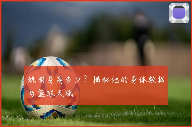 姚明身高多少?揭秘他的身体数据与篮球天赋