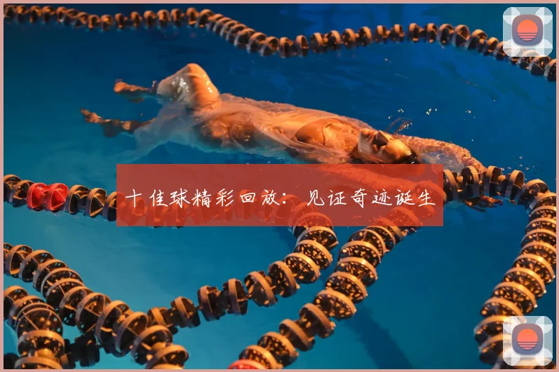 十佳球精彩回放:见证奇迹诞生