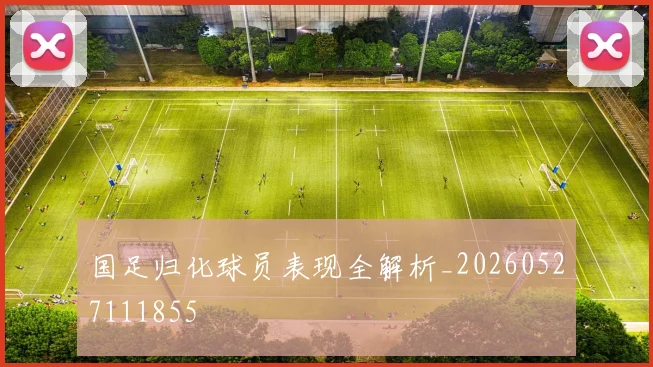 国足归化球员表现全解析_20260527111855