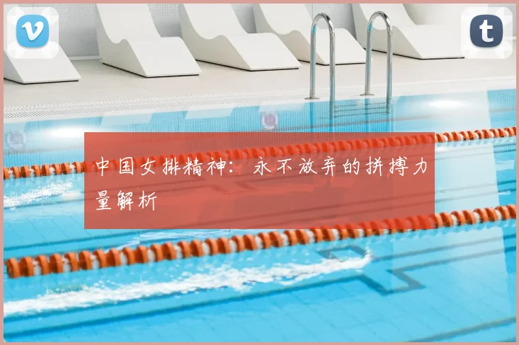 中国女排精神：永不放弃的拼搏力量解析